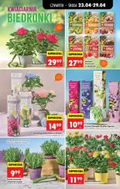 Biedronka gazetka tydzień 17 Strona 93