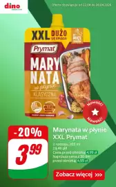 Dino gazetka tydzień 17 Strona 6