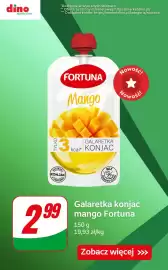 Dino gazetka tydzień 17 Strona 9