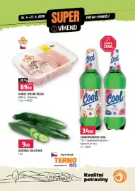 Terno leták Strana 1