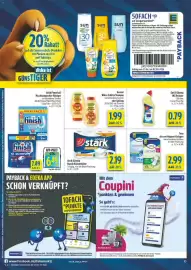 Diska Prospekt woche 18 Seite 10