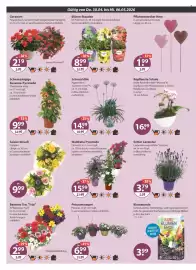 V Markt Prospekt woche 18 Seite 16