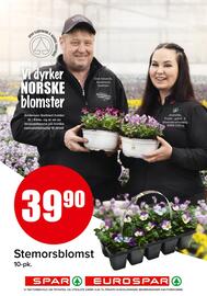 Spar kundeavis Side 18