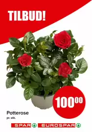 Spar kundeavis Side 17