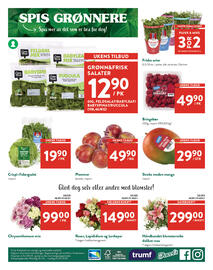 Jacobs kundeavis Side 8