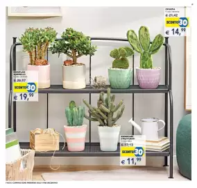 Volantino Esselunga | Festa dei Fiori Pagina 10