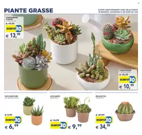 Volantino Esselunga | Festa dei Fiori Pagina 11