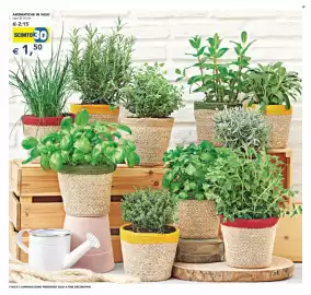 Volantino Esselunga | Festa dei Fiori Pagina 12