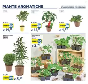 Volantino Esselunga | Festa dei Fiori Pagina 13