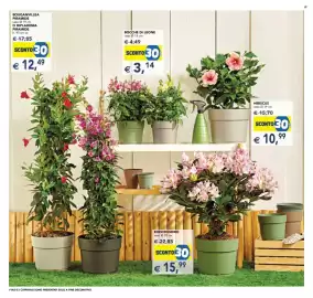 Volantino Esselunga | Festa dei Fiori Pagina 2