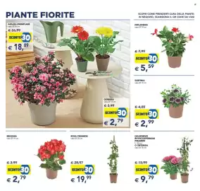 Volantino Esselunga | Festa dei Fiori Pagina 3
