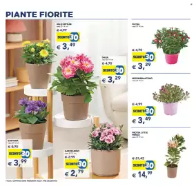Volantino Esselunga | Festa dei Fiori Pagina 4
