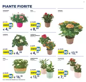 Volantino Esselunga | Festa dei Fiori Pagina 6