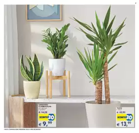 Volantino Esselunga | Festa dei Fiori Pagina 8