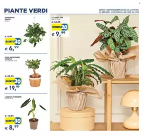 Volantino Esselunga | Festa dei Fiori Pagina 9