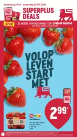 Delhaize folder week 17 Pagina 1