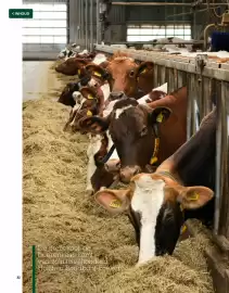 Sligro folder Pagina 32