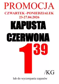 Wizan gazetka tydzień 17 Strona 4