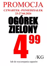 Wizan gazetka tydzień 17 Strona 5