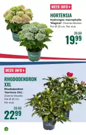 GroenRijk folder week 17 Pagina 14