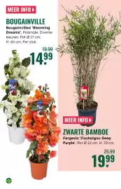 GroenRijk folder week 17 Pagina 15