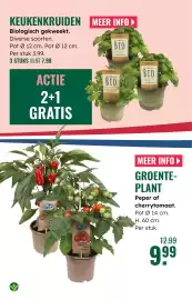 GroenRijk folder week 17 Pagina 19