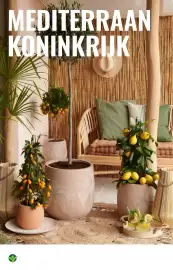 GroenRijk folder week 17 Pagina 4