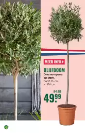 GroenRijk folder week 17 Pagina 6