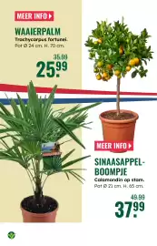 GroenRijk folder week 17 Pagina 8