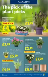 Lidl leaflet week 18 Page 24