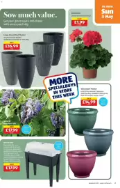 Aldi leaflet Page 21