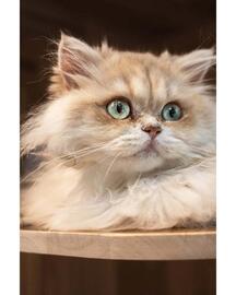 Catálogo Nikon Página 4