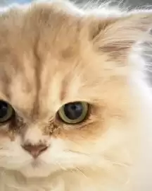 Catálogo Nikon Página 1