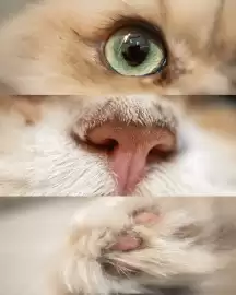 Catálogo Nikon Página 2