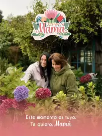 Catálogo Dimarsa semana 17 Página 1