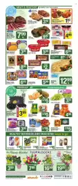 Shaw's flyer week 17 Page 4