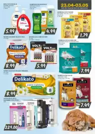 Słoneczko gazetka Strona 8