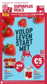 AD Delhaize folder week 17 Pagina 1