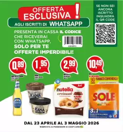 Volantino Coop Master Alleanza 3.0 Pagina 17