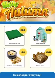 Cheap as Chips catalogue Page 4