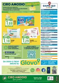Volantino Ciro Amodio Pagina 12
