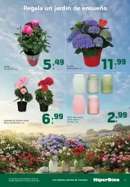 Folleto HiperDino Página 9