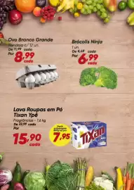 Tabloide Dia Página 2