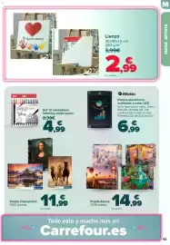 Folleto Carrefour Página 43