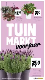 Jumbo folder week 18 Pagina 22