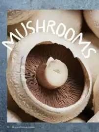 Woolworths catalogue Page 74