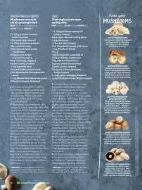 Woolworths catalogue Page 76