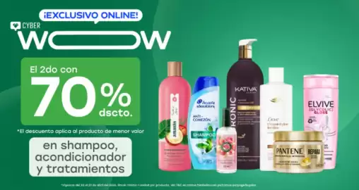 Catálogo Tottus Página 11