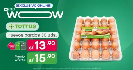 Catálogo Tottus Página 9