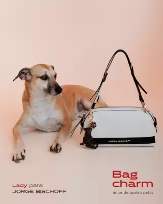 Jorge Bischoff (válido até 30-04)